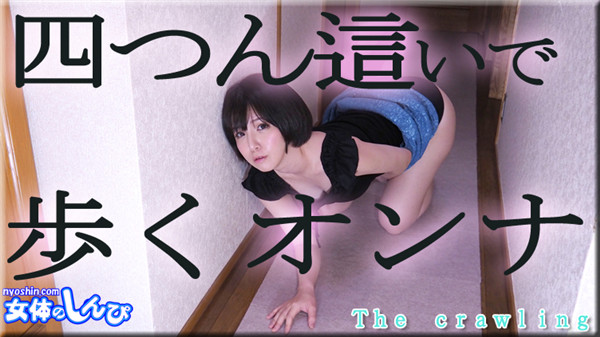 Nyoshin n2052 女体のしんぴ n2052 かな / 四つん這いで歩くオンナ / B: 84 W: 56 H: 87
