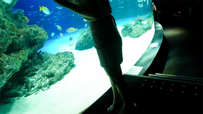 FC2 PPV 1523969 【個撮】Ｇカップ爆乳女子大生とベロキス中出し￥交。ゴム有、キス無女子がイッた直後に激突き！ベロキスしたら舌を絡めてマ●コを締めたので、ゴムを外して生挿入したら痙攣連続絶頂！