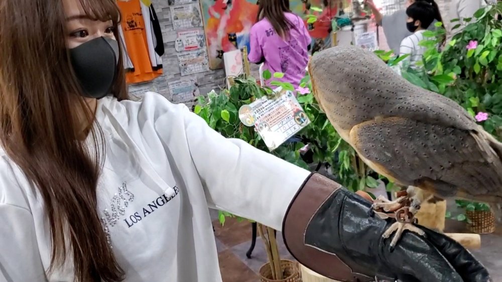 FC2 PPV 1794863 個数限定【無修正】カフェで出会った可憐なJDに中出し（前編）