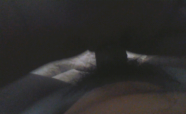 아줌마가 위에서