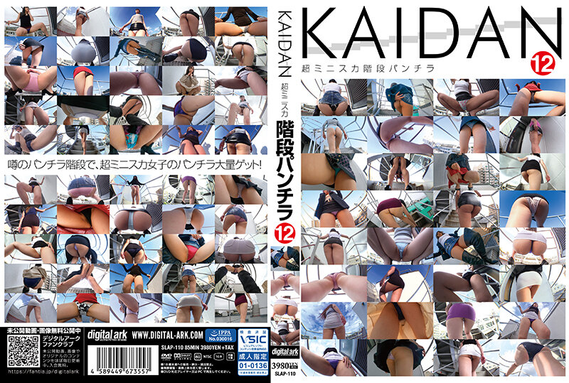 6000Kbps FHD SLAP-110 KAIDAN12