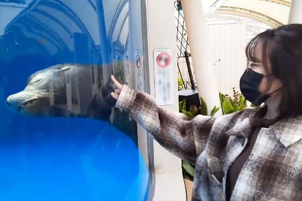 FC2PPV 2876197 ※期間限定販売※【顔出し・中出し】※長尺特典付き※知人の妹がこんな時期に上京してきて生活に困っていると言うので、色々交渉したら、お兄ちゃんには絶対内緒で個人使用ならと撮影させてくれました