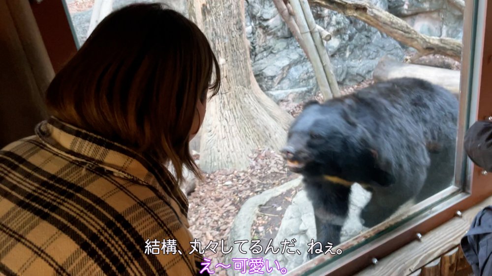 FC2 PPV 2943346 【無】【完全顔出し】芸術家の卵りなちゃん＃２ 動物園デート→生ハメに抵抗見せるも快楽堕ちし最後は「中に出して..!!」【本編約３時間】【お風呂で雑談特典あり】 FC2-PPV-2943346