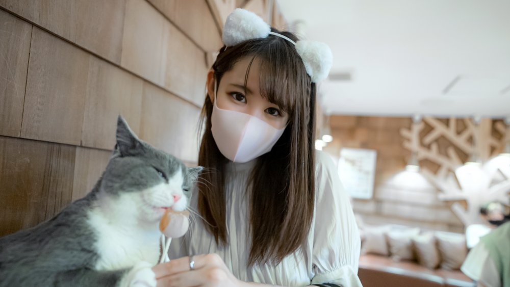 FC2 PPV 3133721 完全顔出し！！11/30まで限定！【無修正】シネマ画風！愛嬌満点のふわふわFcup美巨乳美体の女子大生！！肉棒を丹念に舐め上げ美巨乳を大きく揺らし体液まみれの膣中に連続射精！！ FC2-PPV-3133721