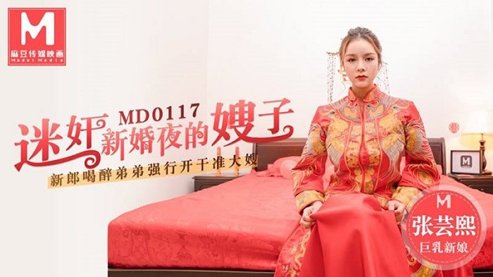 MD117 迷奸新婚夜的嫂子