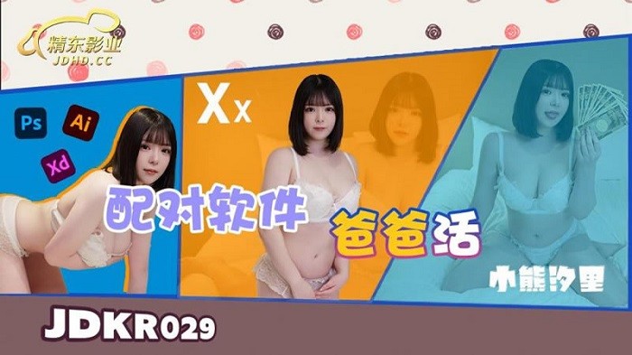 JDKR29 配對軟件爸爸話