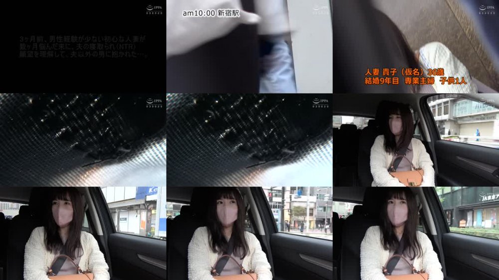 C-2783 寝取られ人妻 湯けむりの旅 27