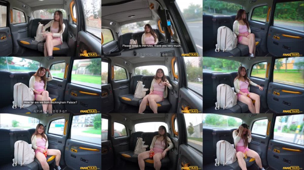 FakeTaxi-Yiming.Curiosity [自譯徵用]