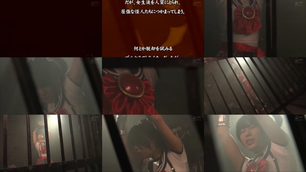 DHRY-24 同人ヒロイン23 ブルセラストライカー 佐野なつ