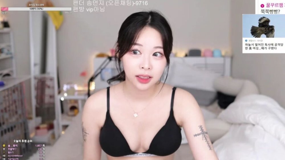 [KBJ] 솜먼지 2023-08-10