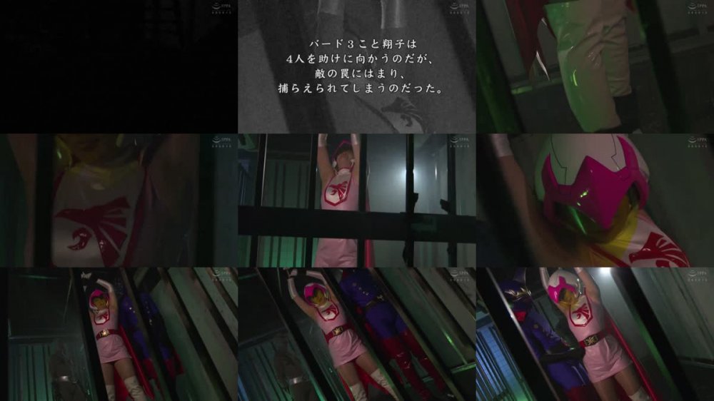 DHRY-28 同人ヒロイン27 バードファイター バード3 角名つむぎ