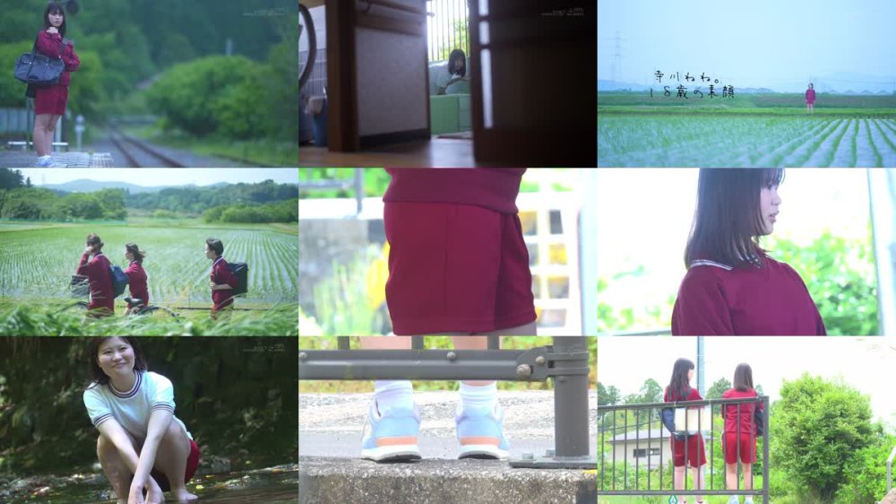 SDAB-340 【18歳AVデビュー】純潔を奪われたい惑う瞳のミニマム女子。自転車で走る1時間半、毎日1人でエッチな妄想してた。 寺川ねね