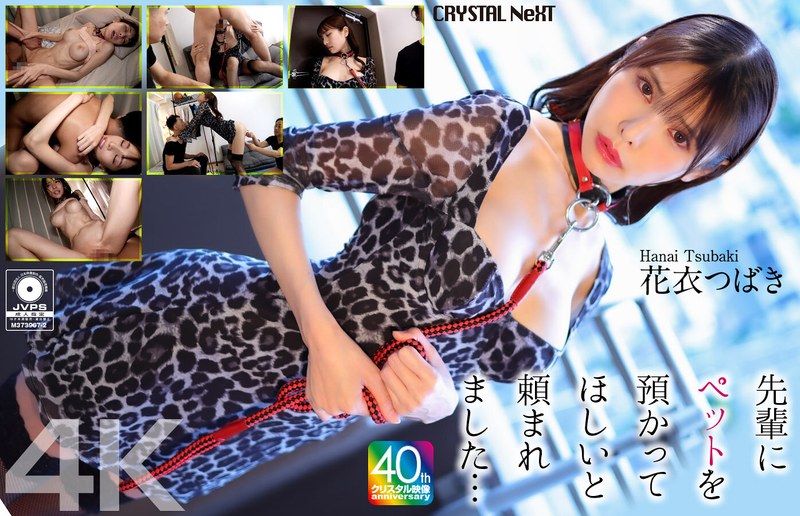 [4K]CRNX-254 【4K】先輩にペットを預かってほしいと頼まれました… 花衣つばき