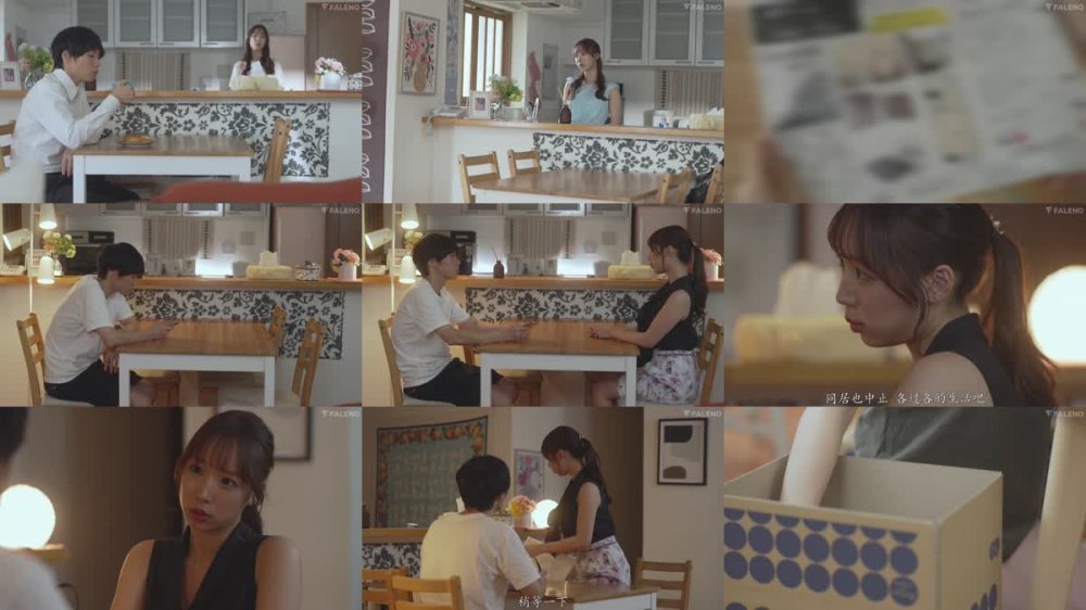 FNS-181 [自提徵用]同居生活最後一天和性格相合出眾的前女友最後再做愛一次。 與田りん