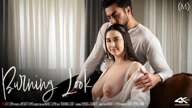 Sex Art - Remido - Burning Look