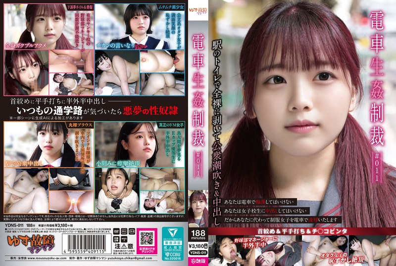 YDNS-011 電車生姦制裁 ＃011