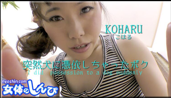 nyoshin n1524 こはる / 突然犬に憑依しちゃったボク /