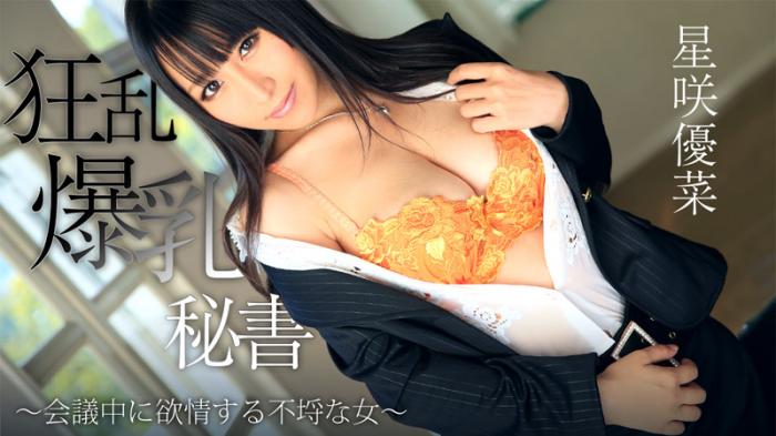 HEYZO-0746 星咲優菜 狂乱爆乳秘書～会議中に欲情する不埒な女～